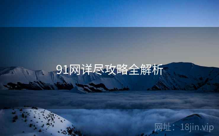 91网详尽攻略全解析