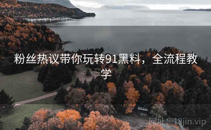粉丝热议带你玩转91黑料，全流程教学
