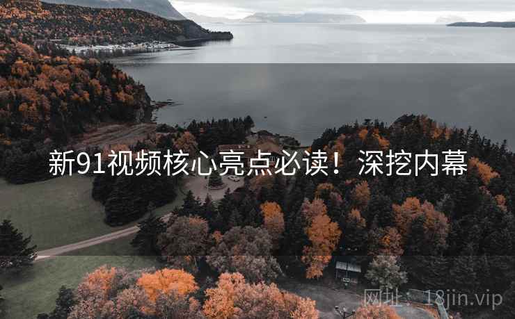 新91视频核心亮点必读！深挖内幕