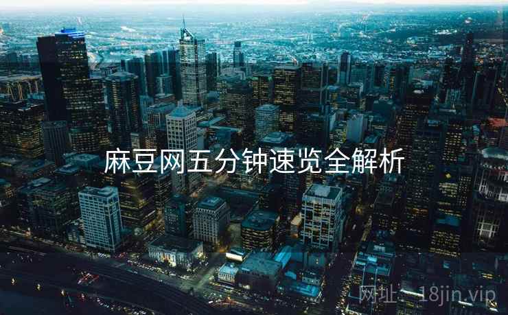 麻豆网五分钟速览全解析