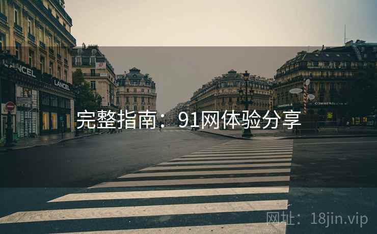 完整指南：91网体验分享