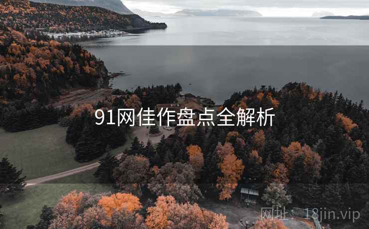 91网佳作盘点全解析