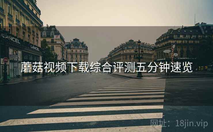 蘑菇视频下载综合评测五分钟速览