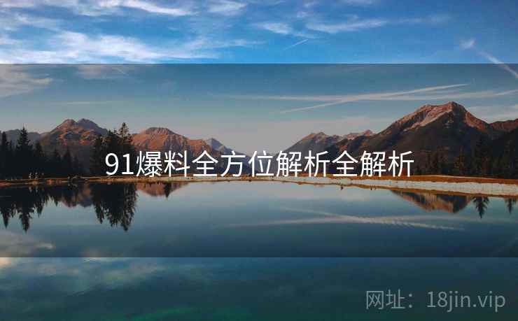 91爆料全方位解析全解析