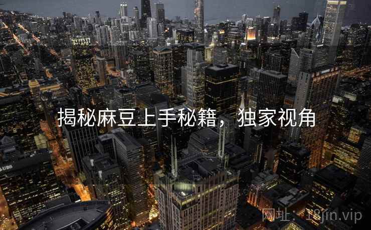 揭秘麻豆上手秘籍，独家视角