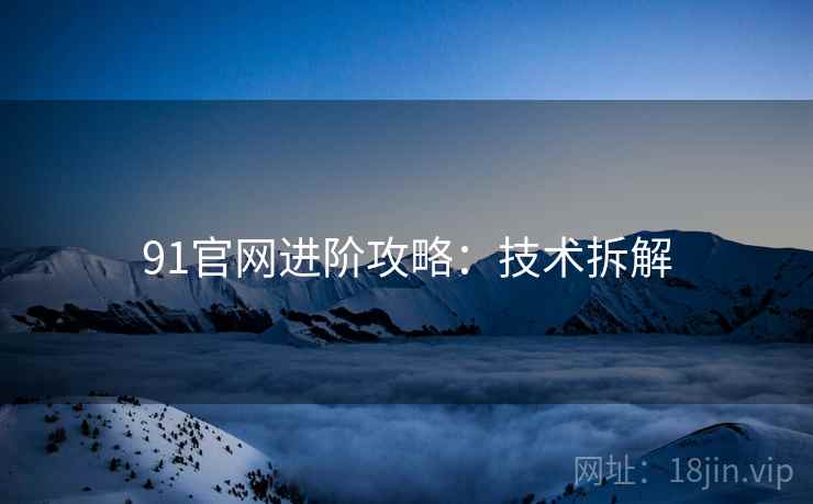 91官网进阶攻略：技术拆解