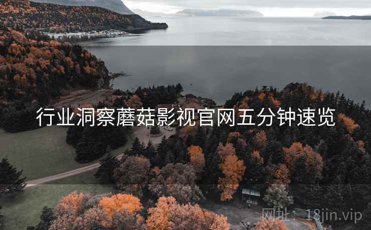 行业洞察蘑菇影视官网五分钟速览
