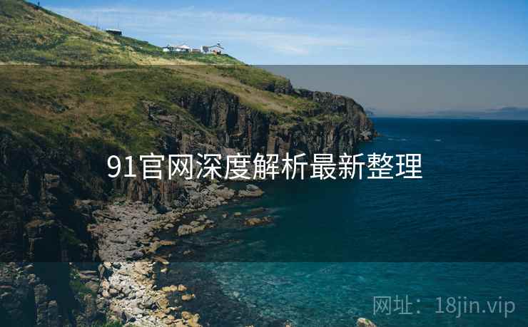 91官网深度解析最新整理