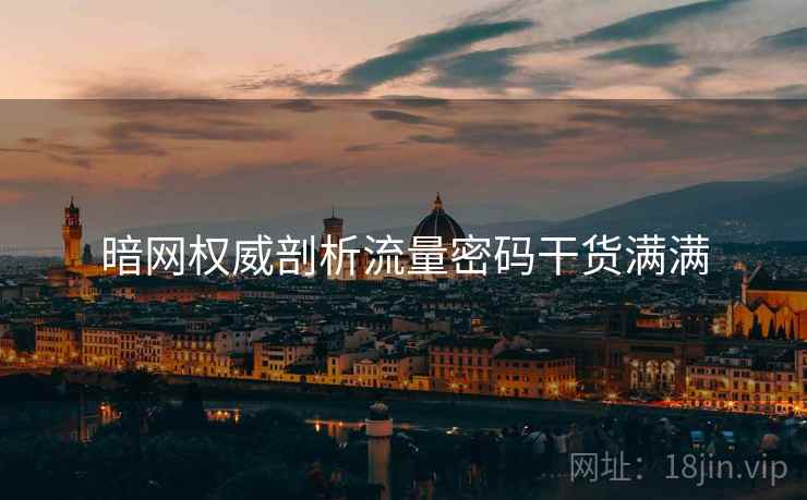 暗网权威剖析流量密码干货满满