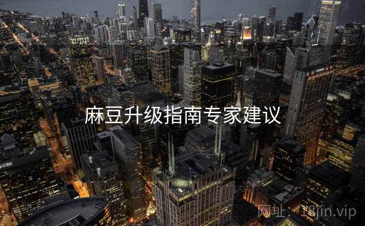 麻豆升级指南专家建议