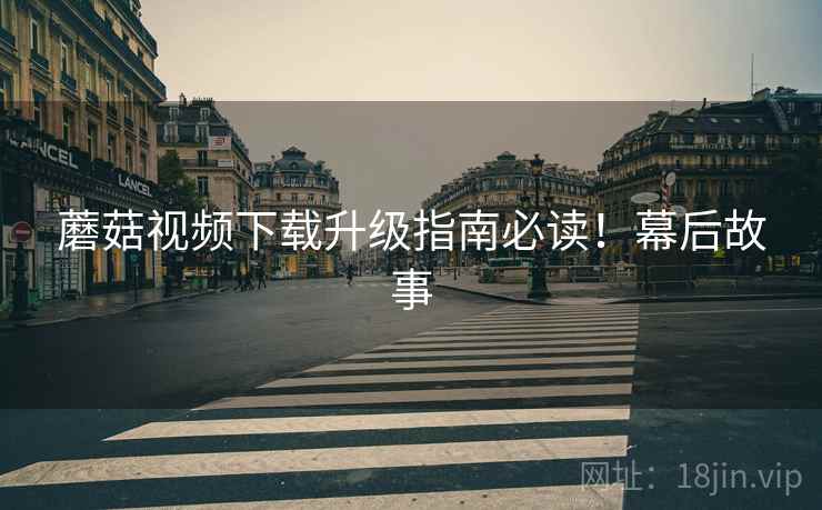 蘑菇视频下载升级指南必读！幕后故事