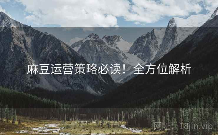 麻豆运营策略必读！全方位解析
