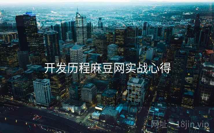开发历程麻豆网实战心得