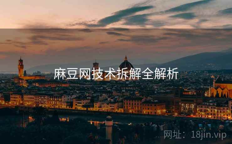 麻豆网技术拆解全解析