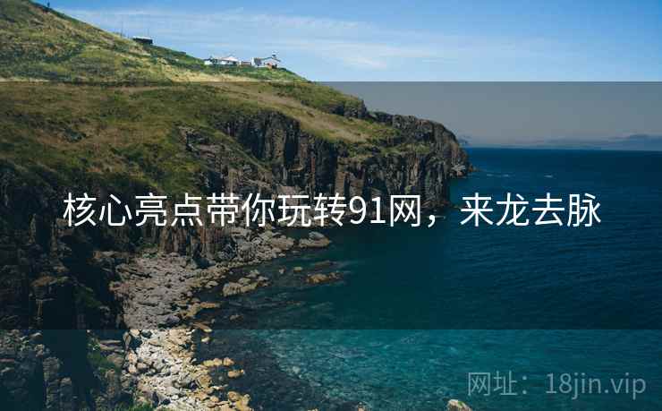 核心亮点带你玩转91网，来龙去脉
