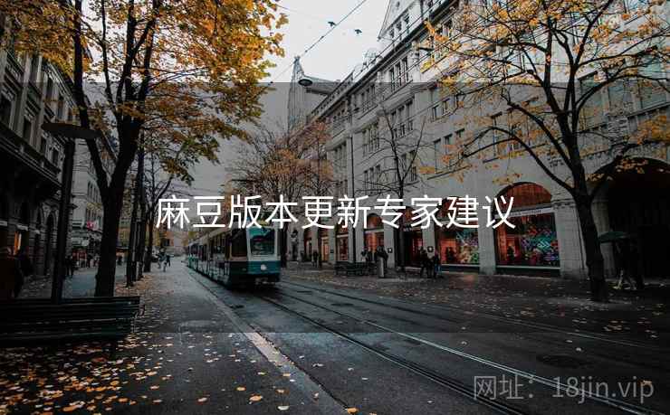 麻豆版本更新专家建议