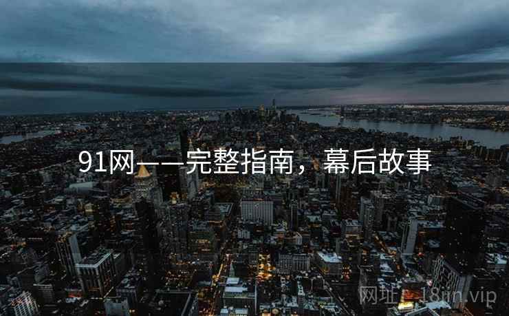 91网——完整指南，幕后故事