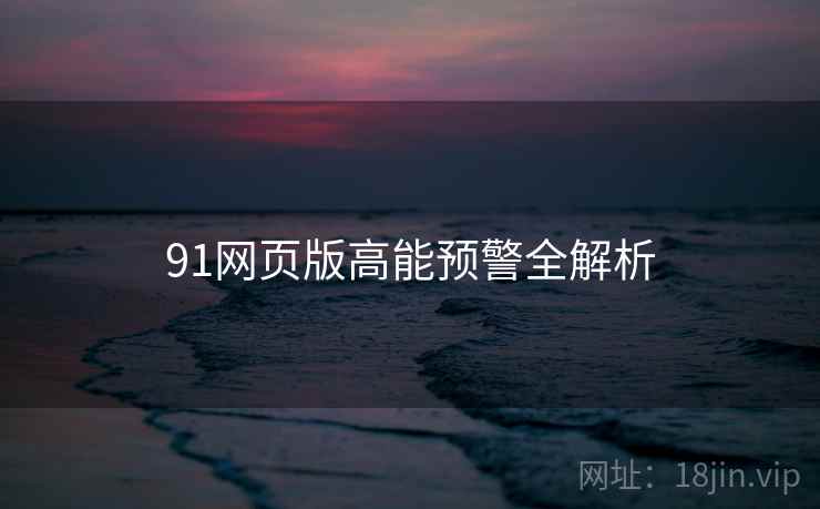 91网页版高能预警全解析