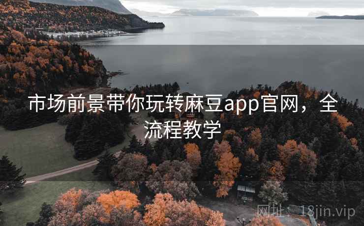 市场前景带你玩转麻豆app官网，全流程教学